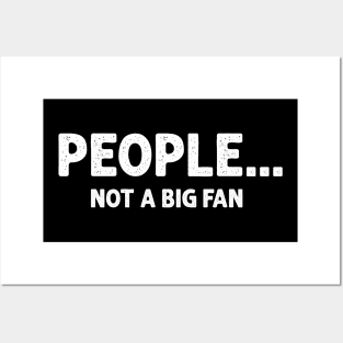 Funny People Not A Big Fan Introvert Sarcasm 2 Posters and Art